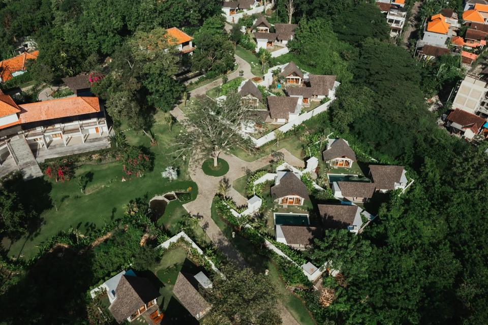 Villa roofs among the trees, from above