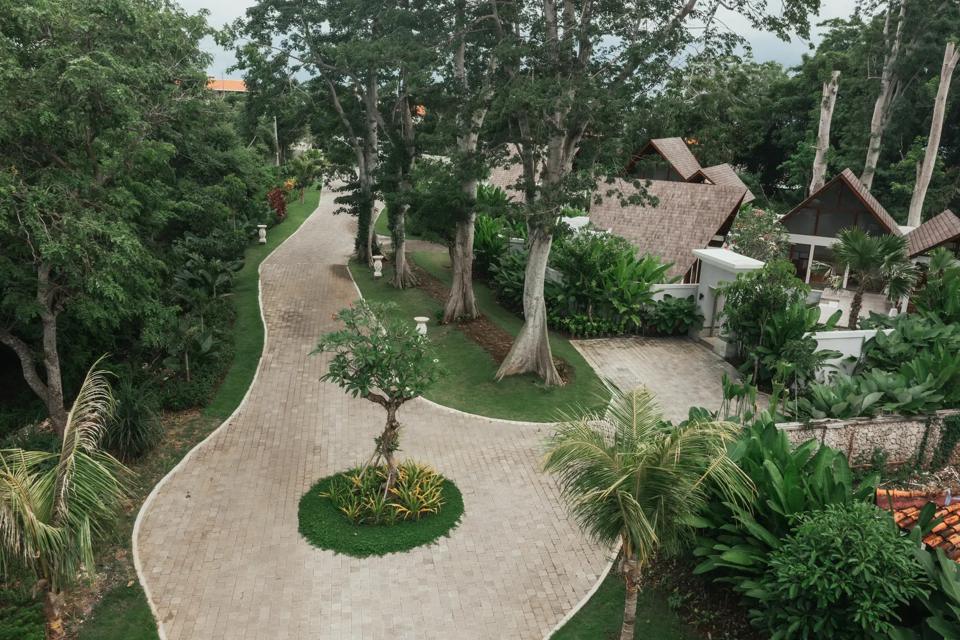 The garden path from above