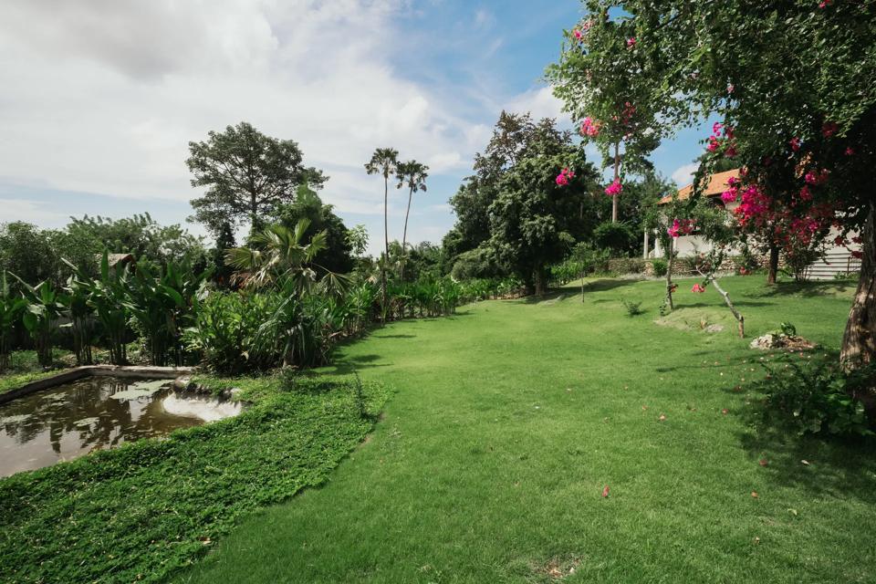 Open lawn inside the estate