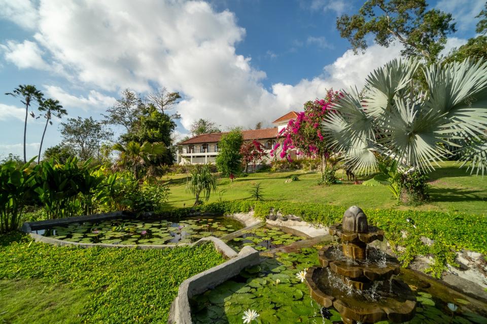Garden in bloom